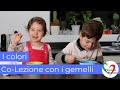 Co-Lezione con i gemelli: i colori