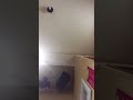 有田正人♪わがまま・マサ歌唱