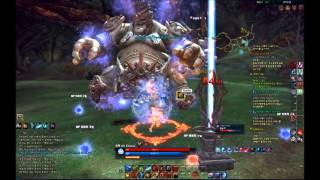 TERA Brawler build