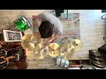 Han Chi 14", 17", 20", 18", 16" Chinas