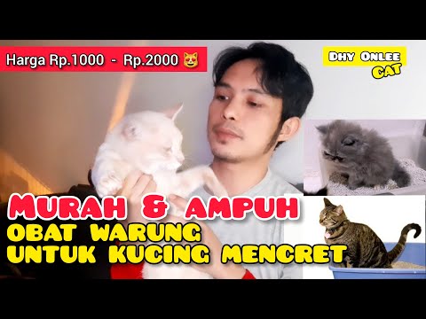 Video: Apa Obat Cantaren Untuk Kucing