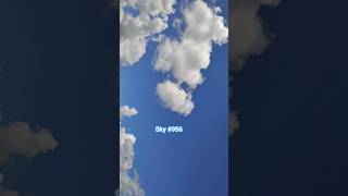 what we sky #956 #clouds #sky #creation #nature #feel #imagine #dog