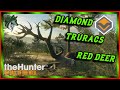 DIAMOND TRURACS RED DEER! theHunter Call Of The WIld truRED Beta