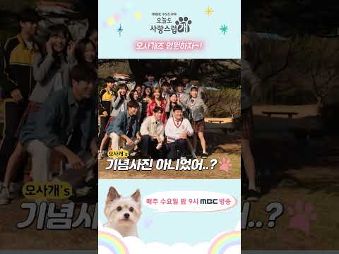 오사개메이킹, 오사개즈 <strong>영원하자</strong>,  #차은우