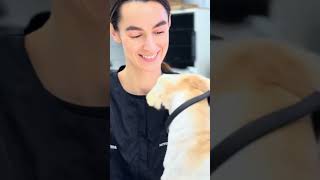 Best Grooming for Your Furry Friend in the Poway – Book Now!