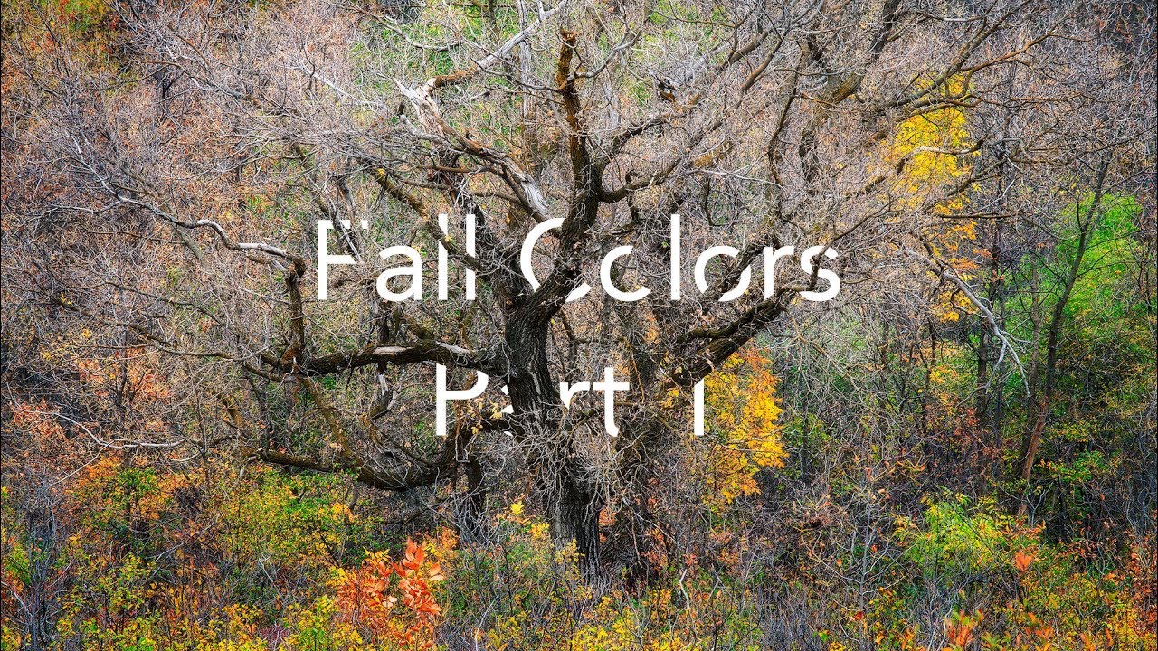 Fall Colors Pt. 1 | Landscape Photography in Saskatchewan