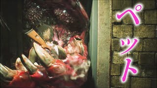 【バイオRE3】システムの都合上、ジルをスルーするハンターy【バイオハザードRE3】検証　実況