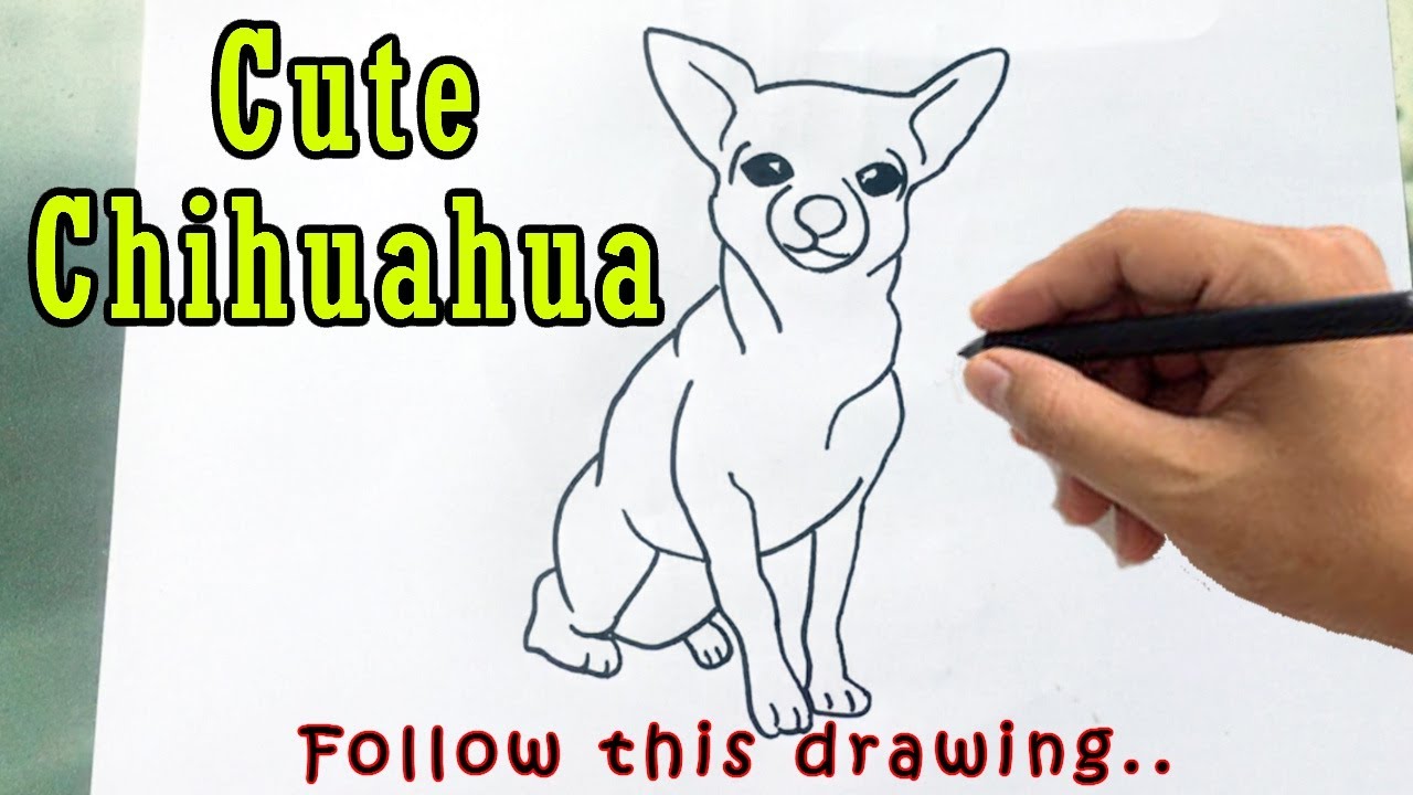 How To Draw A Cute Chihuahua Outline Drawing Easy Chiwawa Dog Sketch Tutorial Step By Step Youtube