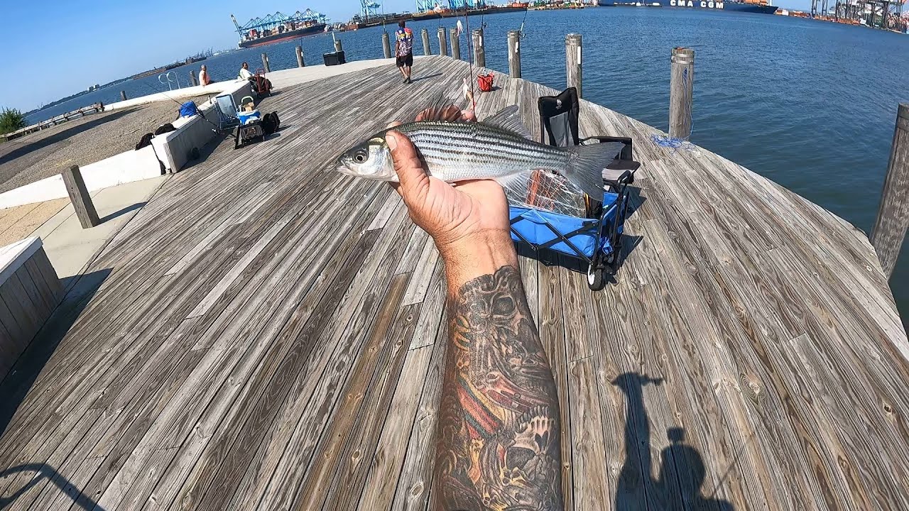 Fishing at G. Thomas DiDomenico 16th Street Park, Bayonne, NJ 8/20/2023
