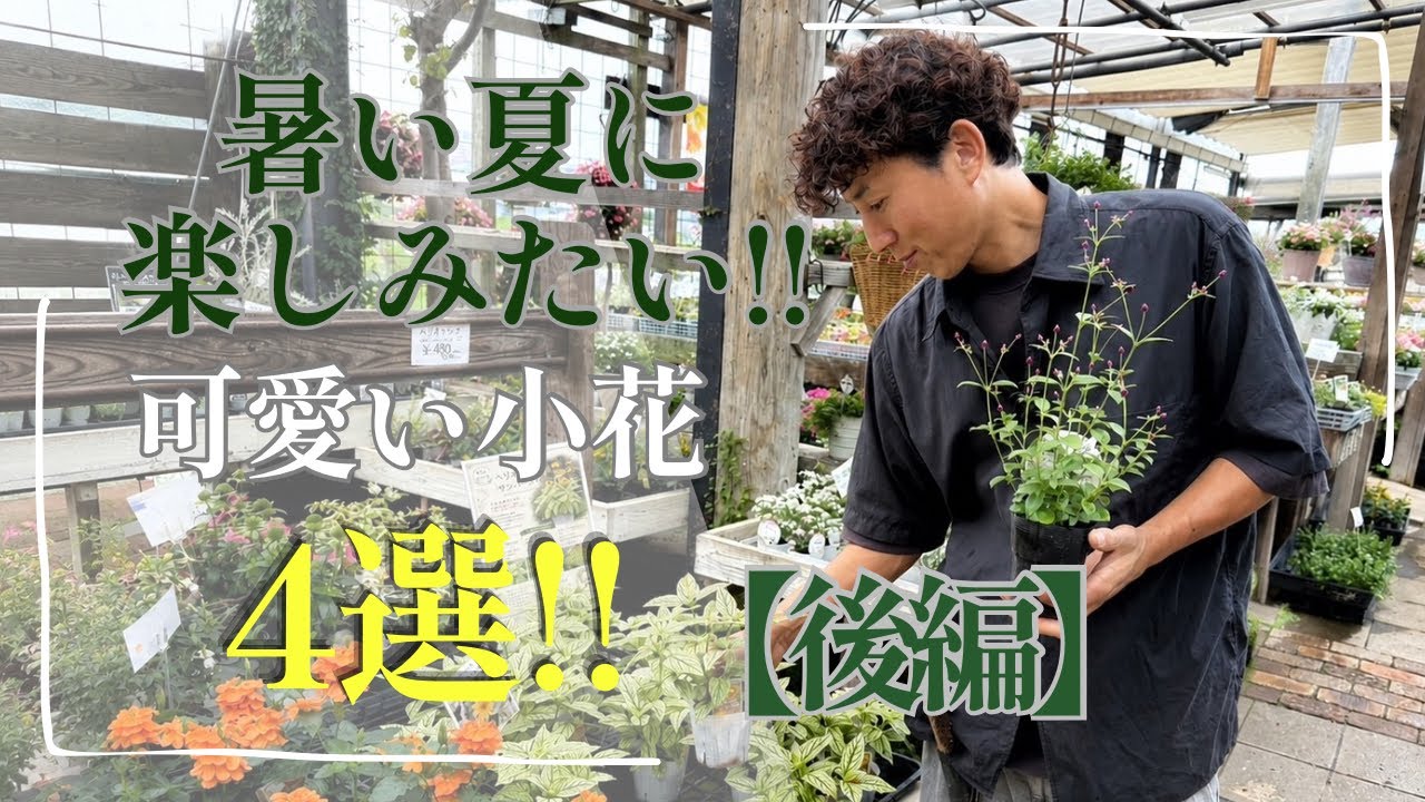 花摘み二人 Perfect for Hot Summers!!] 4 Cute Small Flowers: Part 2 - YouTube