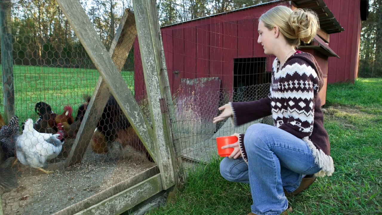 Bruce Webster gives poultry biosecurity tips