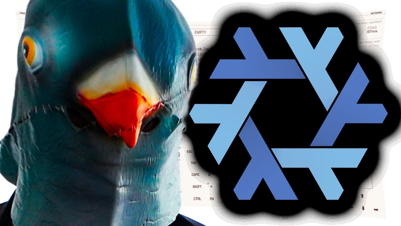 Can i survive NixOS, the purest distro?