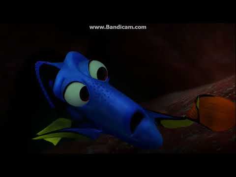 Finding Nemo Arrival To Sydney DVDRIP