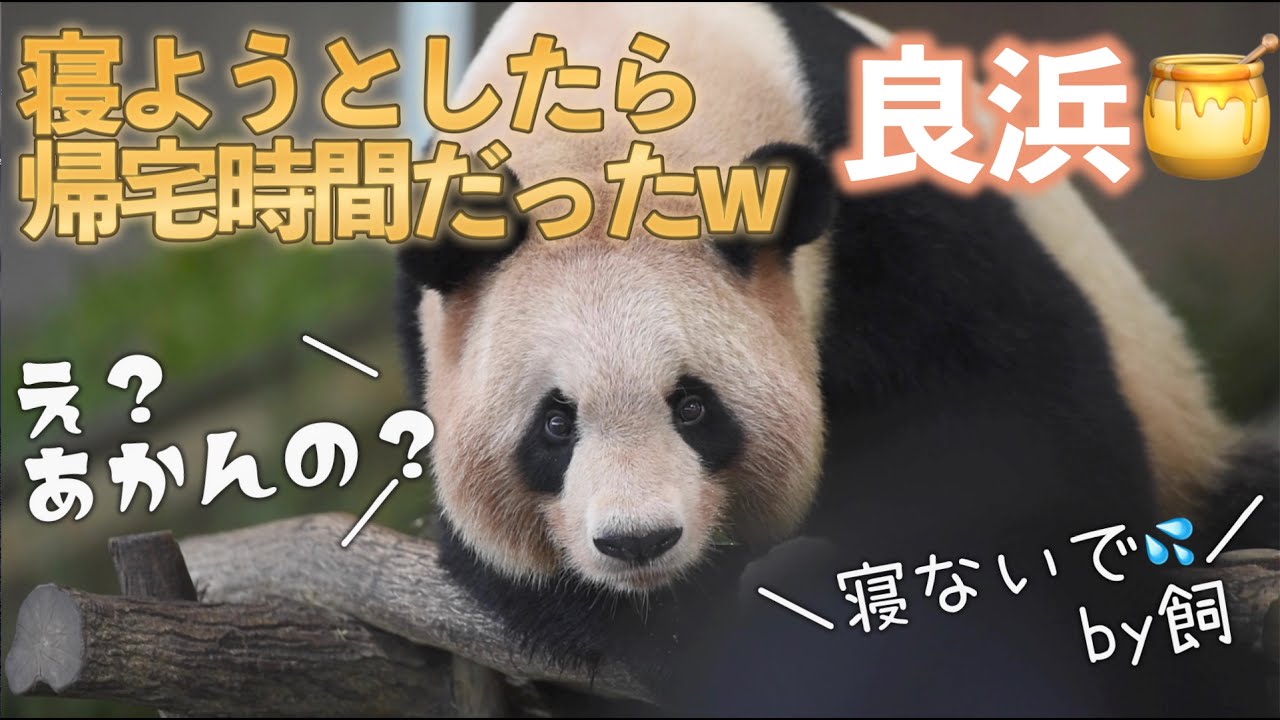 眠たさMAX😪】良浜ママ🍯帰宅時間から寝ようとして止められたw