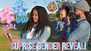 GENDER REVEAL! IT&#39;S A...... *UNEXPECTED PLOT TWIST*