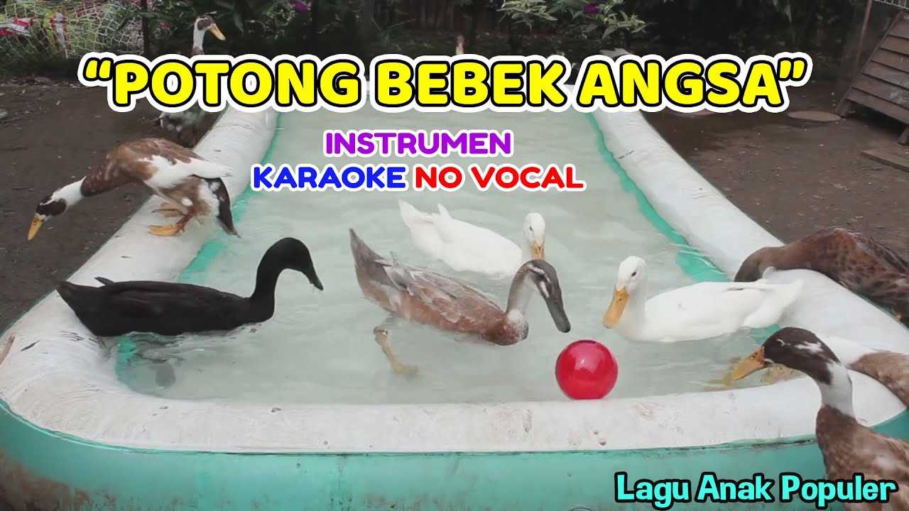 Download Instrumen Lagu Potong Bebek Angsa Mp3 Mp4 3gp Flv Download Lagu Mp3 Gratis Download Instrumen Lagu Potong Bebek Angsa Mp3 Mp4 3gp Flv Download Lagu Mp3 Gratis