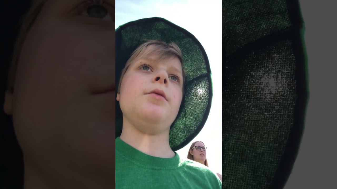 St patty’s pickle parade pt 2