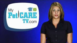 dailypetnews 20100915