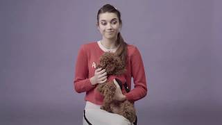 Afra Saraçoğlu - Turkish Actress Eng Sub