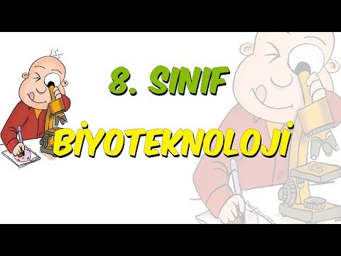 Biyoteknoloji | LGS Kampi - Biyoteknoloji | LGS Kampi