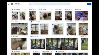 Recollections Google Photo Usage Demo