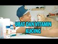 Tip ubat dan vitamin untuk kucing (reupload)