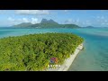 AVORA - Top Retro Music Deep House Exotic 🌴 Vokal Feelings Popular Hits 2026