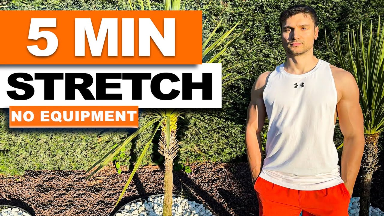 Stretch Routine 5min Male 5 Min Stretching Exercises // Full Body Flexibility & Mobility (After ...