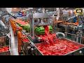 Dentro de una Planta de Procesamiento de Sandía | Producción Completa de Jugo(Fábrica) Tour Proceso!