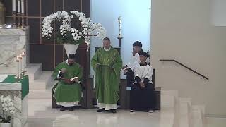 Santa Misa XI Domingo del Tiempo Ordinario - 06-14-26 - OLOG (10:00 am)