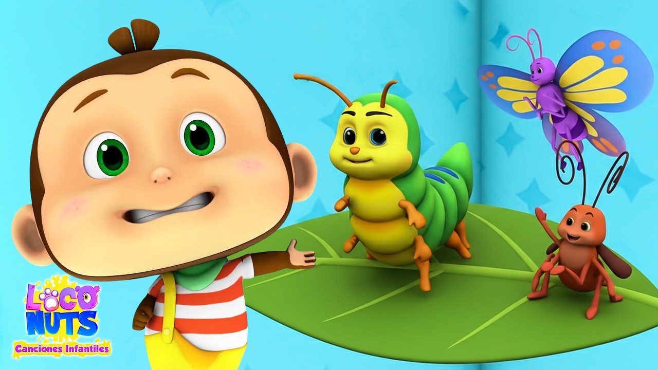 Canción Bug Bug aventura tonta de insectosrimas infantiles compilación