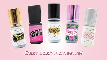 Lash Adhesive Guide: Choosing the Right Glue for Every Situation