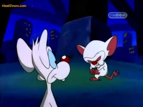 بينكي وبرين