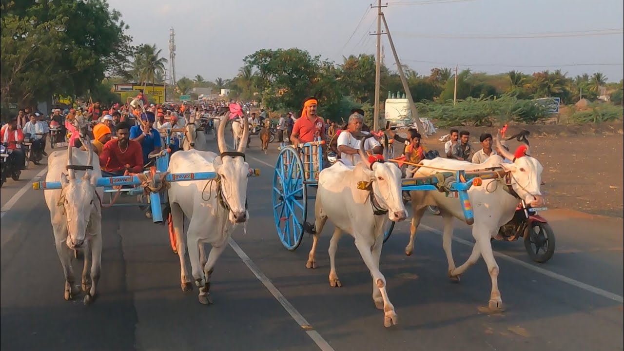 Yamanur Race ಯಮನೂರ ಜಾತ್ರೆ 🔥👑