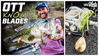 How to Choose Spinnerbaits for Bass Fishing 