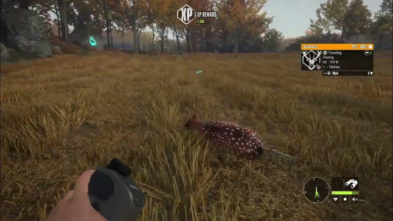 BIG fallow deer! (the hunter call of the wild) YouTube