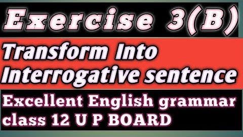 Exercise 3B transforms into interrogative sentence। Excellent English grammar class 12।