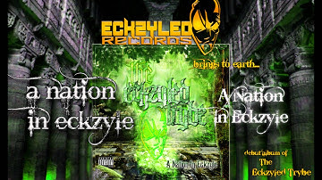 Eckzyled Trybe - A Nation In Eckzyle