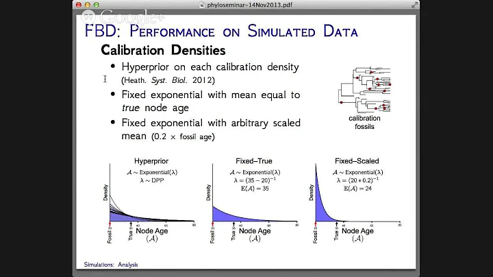 phyloseminar #32: Tracy Heath, UC Berkeley