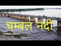 CHAMBAL RIVER # chambal nadi     All information about chambal river