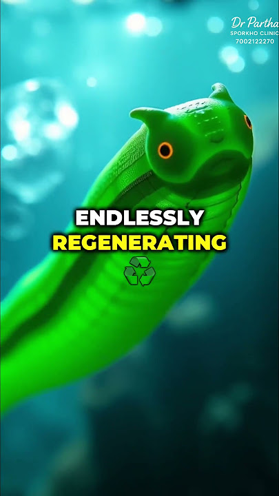 Can We Hack Immortality?#Aging #Science #Health #Immortality #Telomeres