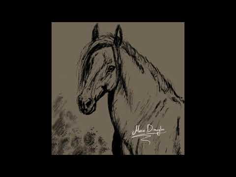 Horse - fast