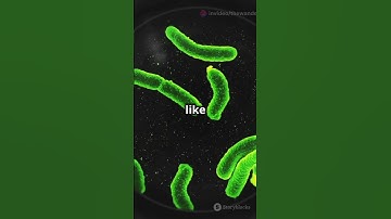 How Sewer Systems Work in 60 Seconds!