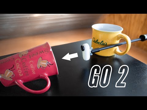 How to get Laowa probe-like macro shots with the Insta360 GO 2 and a