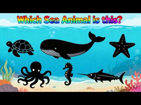 Guess the Sea Animal Quiz | Toddler Learning Videos | Educational Baby Cartoon | Kids Nursery Rhymes