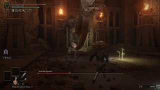 Elden Ring Godskin Apostle Boss Fight