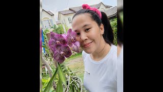 How i fertilize my VANDA ORCHIDS! Watch and know my secret! ️