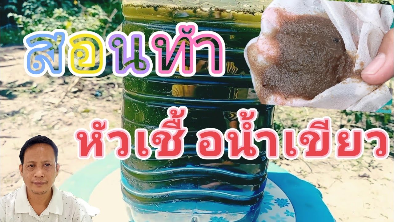 สอนทำหัวเชื้อน้ำเขียว