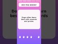 Dog Lovers Need This Fact