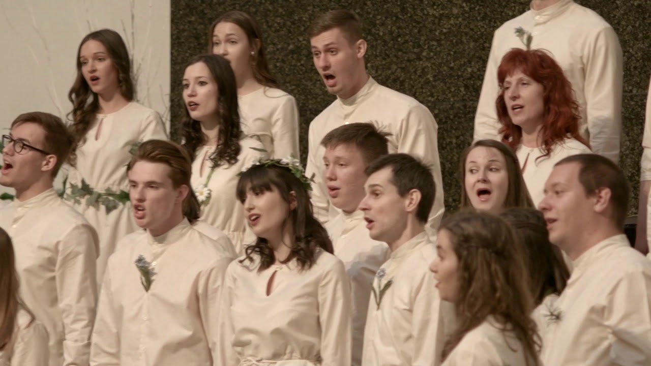 Tine Bec - Igraj kolo na dva desetina